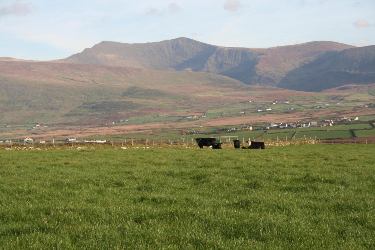 Coill An Rois B&B Ballydavid Екстериор снимка