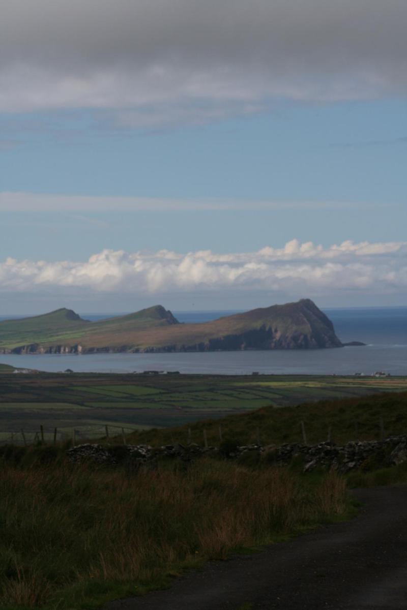 Coill An Rois B&B Ballydavid Екстериор снимка